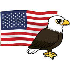 Patriotic Bald Eagle