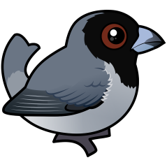 Black-faced Tanager