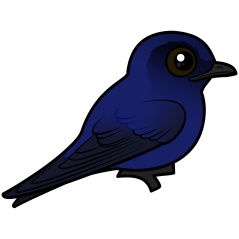 Birdorable Purple Martin