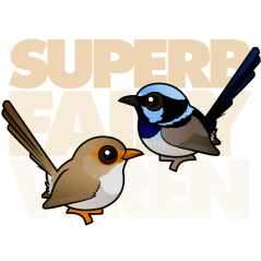Superb Fairywren Marquee
