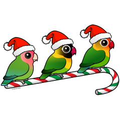 Lovebird Candy Cane
