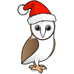 Barn Owl Santa