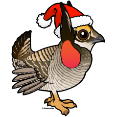 Santa Lesser Prairie-Chicken