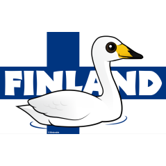 Whooper Swan of Finland