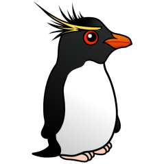 Rockhopper Penguin