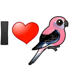 I Love Bourkies