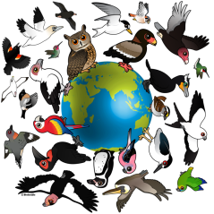 Birdorables Around The Earth