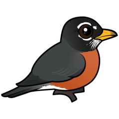Cartoon American Robin