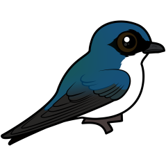 Birdorable Tree Swallow