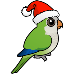 Monk Parakeet Christmas
