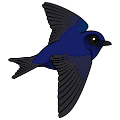 Flying Purple Martin