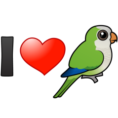 I Love Monk Parakeets