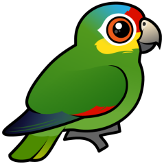 Birdorable Red-lored Parrot
