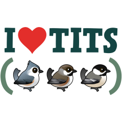I Love Tits (birds)