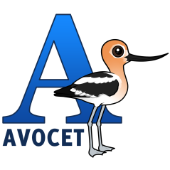 A is for Avocet