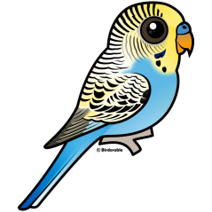Customizable Blue & Yellow Budgie