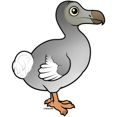 Dodo