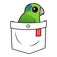 Green Pocket Parrot