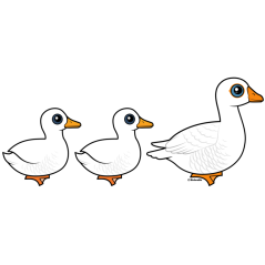 Duck Duck Goose Domestic