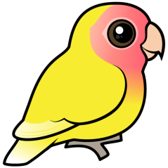 Lutino Peach-faced Lovebird