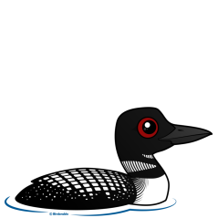 Loon Ranger