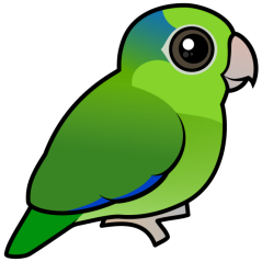 Cute Green Pacific Parrotlet