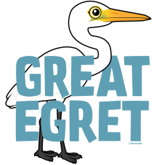 Jumbo Great Egret
