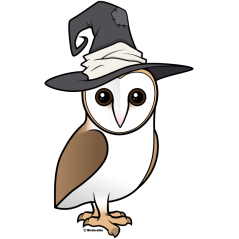 Barn Owl Witch