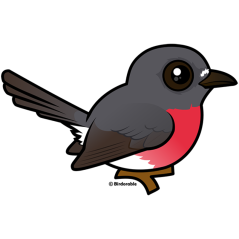Rose Robin