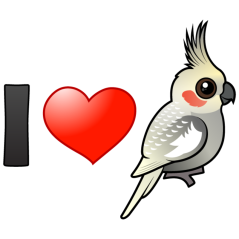 I Love Spangled Cockatiels