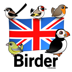 UK Birder