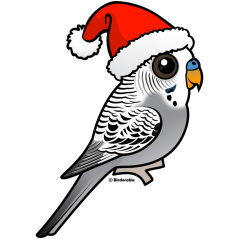 Grey Budgie Santa Claus