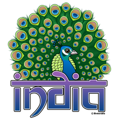 Peafowl of India
