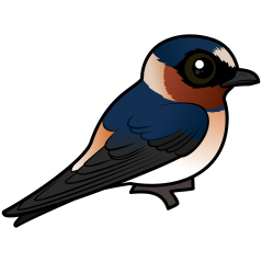 Birdorable Cliff Swallow