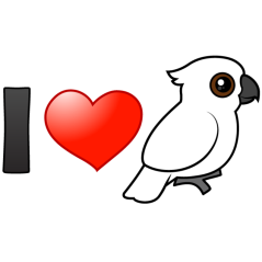 I Love Umbrella Cockatoos