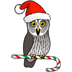 Great Grey Owl Santa