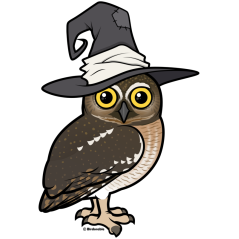 Elf Owl Witch