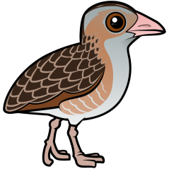 Birdorable Corn Crake