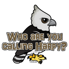 Who are you calling Harpy?