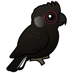 Birdorable White-tailed Black Cockatoo