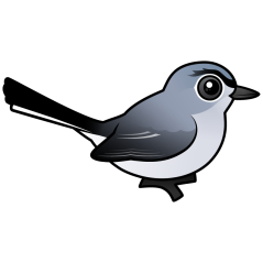 Birdorable Blue-gray Gnatcatcher