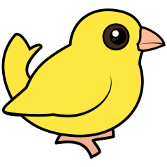 Domestic Canary