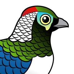 Lady Amherst's Pheasant