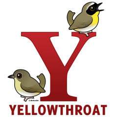 Y is for Yellowthroat