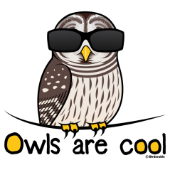 Owls are cool