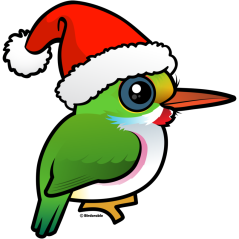 Santa Cuban Tody