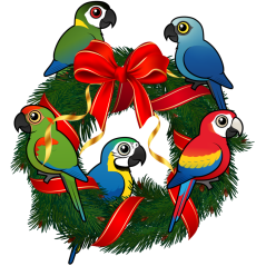 Birdorable Macaws Christmas Wreath