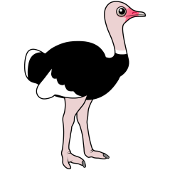 Ostrich