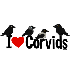 I Love Corvids