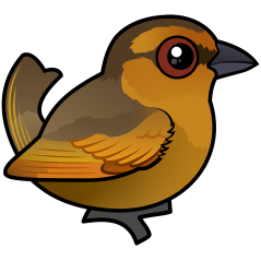 Brown Tanager